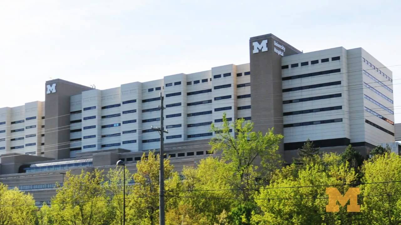 U of M Leaders Share Health System Plans: Key Updates 1 Health System