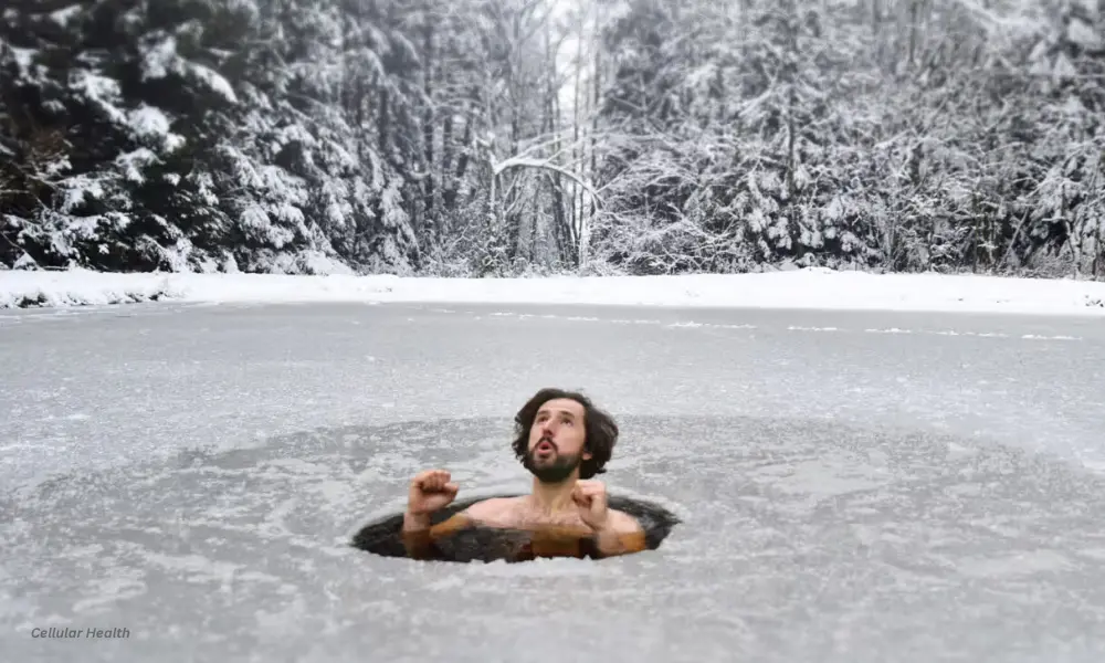 How Cold Water Immersion Enhances Cellular Health and Builds Resilience 1 Cellular Health