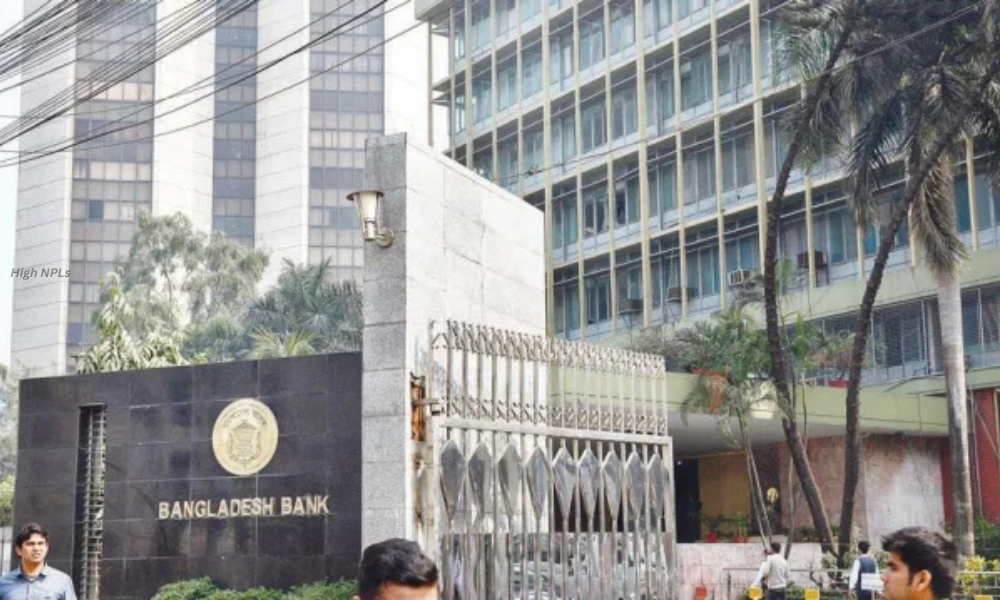 Banks with High NPLs Face 2025 Dividend Ban: What It Means 1 High NPLs