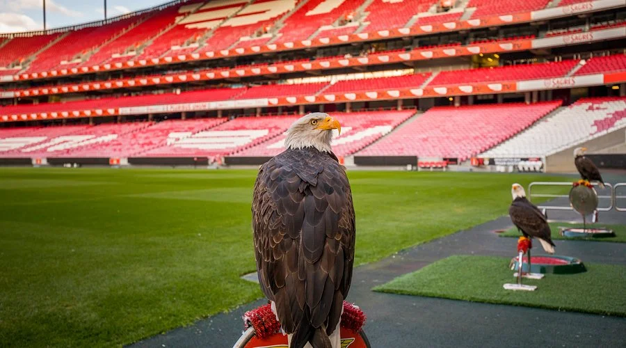 Sport Lisboa e Benfica – The Pride of Portuguese Football 1 Sport Lisboa e Benfica