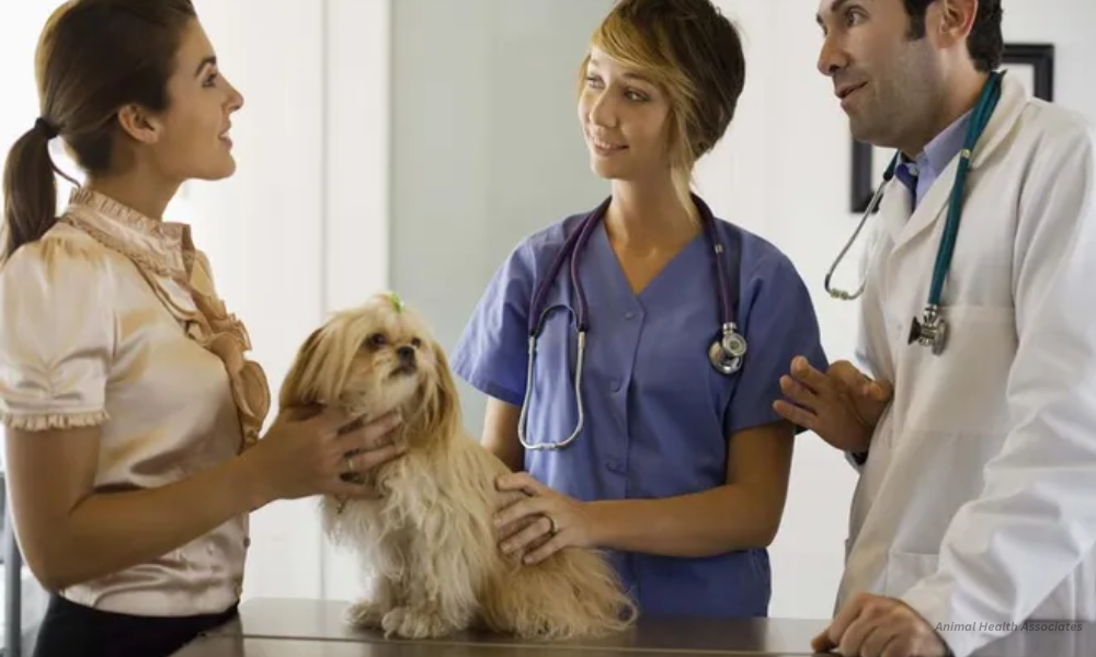 Animal Health Associates: Complete Guide to Quality Veterinary Care 1 Animal Health Associates