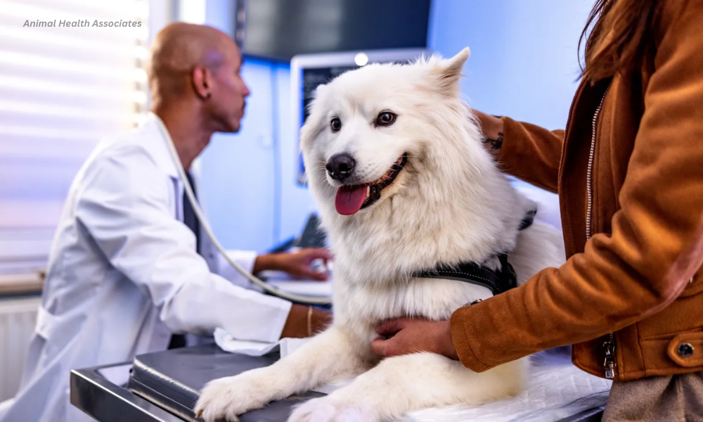 Animal Health Associates: Your Trusted Partner in Pet Care 1 Animal Health Associates
