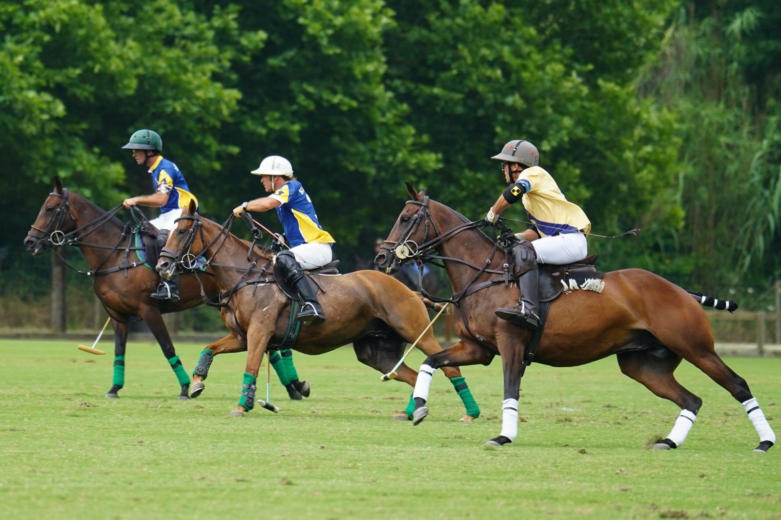 What Is Polo as a Sport in America? 1 What Is Polo as a Sport in America