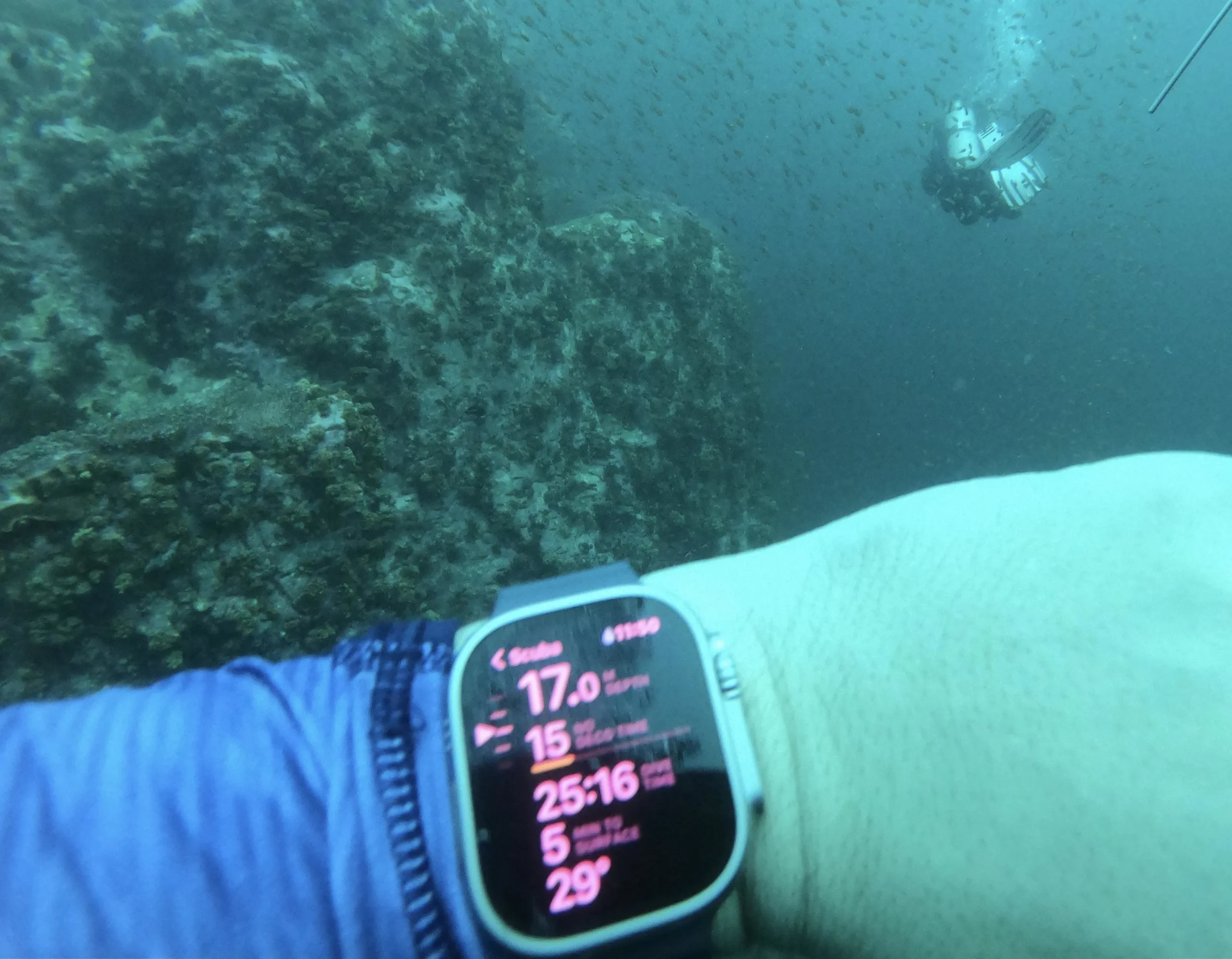 Can I Swim with My Apple Watch? 1 Can I Swim with My Apple Watch?