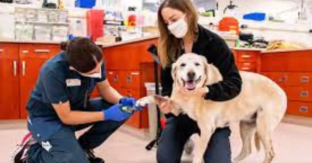 Animal Health Care Direct Debit: The Smarter Way to Manage Pet Expenses 1 Animal Health Care Direct Debit
