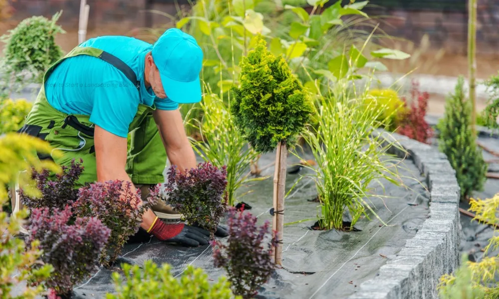 How to Start a Landscaping Business 1 How to Start a Landscaping Business